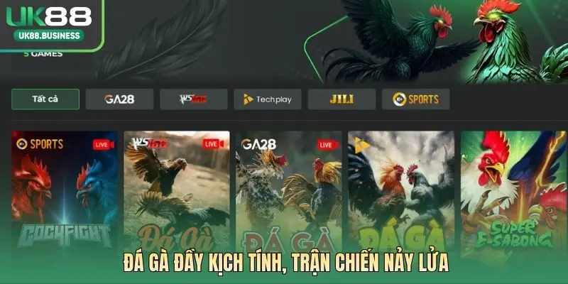 Đá gà đầy kịch tính, trận chiến nảy lửa